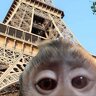 Qqqq123_offical