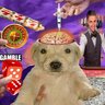 Casino777