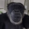 barricade